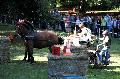 Photo n 35263&#10;THURY-HARCOURT 2015. Photo Chevalandrieu&#10;M. HODEMOND. Equipe Trait Normand&#10;Affiche 23 fois&#10;Ajoute le 05/10/2015 14:08:24 par Nadinetoudic&#10;&#10;--> Cliquer pour agrandir <--