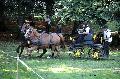 Photo n 35266&#10;THURY-HARCOURT 2015. Photo Chevalandrieu&#10;G. THOURET. Equipe Trait d'avenir Sarthois&#10;Affiche 13 fois&#10;Ajoute le 05/10/2015 14:08:24 par Nadinetoudic&#10;&#10;--> Cliquer pour agrandir <--