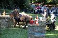 Photo n 35267&#10;THURY-HARCOURT 2015. Photo Chevalandrieu&#10;G. THOURET. Equipe Trait d'avenir Sarthois&#10;Affiche 21 fois&#10;Ajoute le 05/10/2015 14:08:24 par Nadinetoudic&#10;&#10;--> Cliquer pour agrandir <--
