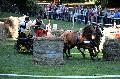 Photo n 35269&#10;THURY-HARCOURT 2015. Photo Chevalandrieu&#10;G. THOURET. Equipe Trait d'avenir Sarthois&#10;Affiche 23 fois&#10;Ajoute le 05/10/2015 14:08:24 par Nadinetoudic&#10;&#10;--> Cliquer pour agrandir <--