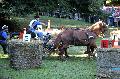 Photo n 35271&#10;THURY-HARCOURT 2015. Photo Chevalandrieu&#10;J. CELLOT. Equipe Actif&#10;Affiche 22 fois&#10;Ajoute le 05/10/2015 14:26:06 par Nadinetoudic&#10;&#10;--> Cliquer pour agrandir <--