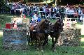 Photo n 35272&#10;THURY-HARCOURT 2015. Photo Chevalandrieu&#10;J. CELLOT. Equipe Actif&#10;Affiche 25 fois&#10;Ajoute le 05/10/2015 14:26:06 par Nadinetoudic&#10;&#10;--> Cliquer pour agrandir <--