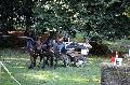 Photo n 35274&#10;THURY-HARCOURT 2015. Photo Chevalandrieu&#10;L. CHIRON. Equipe Cob Normand 14-61&#10;Affiche 13 fois&#10;Ajoute le 05/10/2015 14:26:06 par Nadinetoudic&#10;&#10;--> Cliquer pour agrandir <--