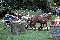 Photo n 35275&#10;THURY-HARCOURT 2015. Photo Chevalandrieu&#10;L. CHIRON. Equipe Cob Normand 14-61&#10;Affiche 17 fois&#10;Ajoute le 05/10/2015 14:26:06 par Nadinetoudic&#10;&#10;--> Cliquer pour agrandir <--