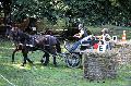 Photo n 35276&#10;THURY-HARCOURT 2015. Photo Chevalandrieu&#10;L. CHIRON. Equipe Cob Normand 14-61&#10;Affiche 13 fois&#10;Ajoute le 05/10/2015 14:26:07 par Nadinetoudic&#10;&#10;--> Cliquer pour agrandir <--