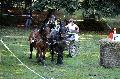 Photo n 35277&#10;THURY-HARCOURT 2015. Photo Chevalandrieu&#10;L. CHIRON. Equipe Cob Normand 14-61&#10;Affiche 9 fois&#10;Ajoute le 05/10/2015 14:26:07 par Nadinetoudic&#10;&#10;--> Cliquer pour agrandir <--