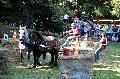 Photo n 35280&#10;THURY-HARCOURT 2015. Photo Chevalandrieu&#10;J. SINGER. Equipe Percheron&#10;Affiche 27 fois&#10;Ajoute le 05/10/2015 14:26:07 par Nadinetoudic&#10;&#10;--> Cliquer pour agrandir <--