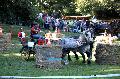 Photo n 35281&#10;THURY-HARCOURT 2015. Photo Chevalandrieu&#10;J. SINGER. Equipe Percheron&#10;Affiche 15 fois&#10;Ajoute le 05/10/2015 14:26:07 par Nadinetoudic&#10;&#10;--> Cliquer pour agrandir <--