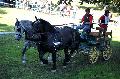 Photo n 35282&#10;THURY-HARCOURT 2015. Photo Chevalandrieu&#10;J. SINGER. Equipe Percheron&#10;Affiche 24 fois&#10;Ajoute le 05/10/2015 14:26:07 par Nadinetoudic&#10;&#10;--> Cliquer pour agrandir <--