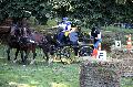 Photo n 35283&#10;THURY-HARCOURT 2015. Photo Chevalandrieu&#10;C.RALLU. Equipe Cob Normand 50&#10;Affiche 14 fois&#10;Ajoute le 05/10/2015 14:26:07 par Nadinetoudic&#10;&#10;--> Cliquer pour agrandir <--