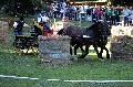 Photo n 35284&#10;THURY-HARCOURT 2015. Photo Chevalandrieu&#10;C.RALLU. Equipe Cob Normand 50&#10;Affiche 9 fois&#10;Ajoute le 05/10/2015 14:26:07 par Nadinetoudic&#10;&#10;--> Cliquer pour agrandir <--