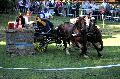 Photo n 35285&#10;THURY-HARCOURT 2015. Photo Chevalandrieu&#10;C.RALLU. Equipe Cob Normand 50&#10;Affiche 14 fois&#10;Ajoute le 05/10/2015 14:26:07 par Nadinetoudic&#10;&#10;--> Cliquer pour agrandir <--