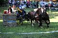 Photo n° 35285
THURY-HARCOURT 2015. Photo Chevalandrieu
C.RALLU. Equipe Cob Normand 50
Affichée 13 fois
Ajoutée le 05/10/2015 14:26:07 par Nadinetoudic

--> Cliquer pour agrandir <--