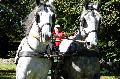 Photo n 35292&#10;THURY-HARCOURT 2015. Photo Chevalandrieu&#10;J.M. COEURET. Equipe Percheron&#10;Affiche 27 fois&#10;Ajoute le 05/10/2015 14:42:34 par Nadinetoudic&#10;&#10;--> Cliquer pour agrandir <--