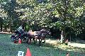 Photo n 35293&#10;THURY-HARCOURT 2015. Photo Chevalandrieu&#10;M. HODEMOND. Equipe Trait Normand&#10;Affiche 11 fois&#10;Ajoute le 05/10/2015 14:42:34 par Nadinetoudic&#10;&#10;--> Cliquer pour agrandir <--