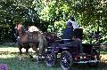 Photo n 35295&#10;THURY-HARCOURT 2015. Photo Chevalandrieu&#10;J. HARLAY. Equipe Actif&#10;Affiche 19 fois&#10;Ajoute le 05/10/2015 14:42:34 par Nadinetoudic&#10;&#10;--> Cliquer pour agrandir <--