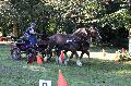 Photo n 35296&#10;THURY-HARCOURT 2015. Photo Chevalandrieu&#10;J. HARLAY. Equipe Actif&#10;Affiche 31 fois&#10;Ajoute le 05/10/2015 14:42:34 par Nadinetoudic&#10;&#10;--> Cliquer pour agrandir <--