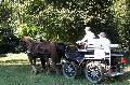 Photo n 35297&#10;THURY-HARCOURT 2015. Photo Chevalandrieu&#10;M. SANCHEZ. Equipe Cob Normand 14-61&#10;Affiche 18 fois&#10;Ajoute le 05/10/2015 14:42:34 par Nadinetoudic&#10;&#10;--> Cliquer pour agrandir <--