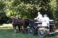 Photo n° 35297
THURY-HARCOURT 2015. Photo Chevalandrieu
M. SANCHEZ. Equipe Cob Normand 14-61
Affichée 17 fois
Ajoutée le 05/10/2015 14:42:34 par Nadinetoudic

--> Cliquer pour agrandir <--