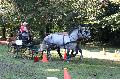 Photo n 35299&#10;THURY-HARCOURT 2015. Photo Chevalandrieu&#10;J.M. COEURET. Equipe Percheron&#10;Affiche 21 fois&#10;Ajoute le 05/10/2015 14:42:35 par Nadinetoudic&#10;&#10;--> Cliquer pour agrandir <--