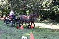 Photo n 35301&#10;THURY-HARCOURT 2015. Photo Chevalandrieu&#10;M. DUBOST. Equipe Cob Normand 50&#10;Affiche 33 fois&#10;Ajoute le 05/10/2015 14:44:50 par Nadinetoudic&#10;&#10;--> Cliquer pour agrandir <--