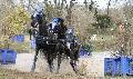 Photo n 35398&#10;Alain Berthon au marathon de Loriol 2015&#10;&#10;Affiche 22 fois&#10;Ajoute le 07/10/2015 16:46:01 par Patfra&#10;&#10;--> Cliquer pour agrandir <--