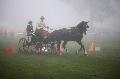 Photo n 35433&#10;Compigne Finale J.C. 2015. Photo Chevalandrieu&#10;Simon GEORGES avec Celt, Selle Etranger&#10;Affiche 37 fois&#10;Ajoute le 12/10/2015 17:26:53 par Nadinetoudic&#10;&#10;--> Cliquer pour agrandir <--