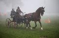 Photo n 35438&#10;Compigne Finale J.C. 2015. Photo Chevalandrieu&#10;Yannick CHEREL avec Fransisco, KWPN.&#10;Affiche 42 fois&#10;Ajoute le 13/10/2015 12:10:47 par Nadinetoudic&#10;&#10;--> Cliquer pour agrandir <--