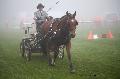 Photo n 35439&#10;Compigne Finale J.C. 2015. Photo Chevalandrieu&#10;Stphane BAILLIF avec Alize, Franche-Montagne.&#10;Affiche 9 fois&#10;Ajoute le 13/10/2015 12:10:47 par Nadinetoudic&#10;&#10;--> Cliquer pour agrandir <--