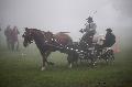 Photo n 35440&#10;Compigne Finale J.C. 2015. Photo Chevalandrieu&#10;Stphane BAILLIF avec Alize, Franche-Montagne.&#10;Affiche 7 fois&#10;Ajoute le 13/10/2015 12:10:47 par Nadinetoudic&#10;&#10;--> Cliquer pour agrandir <--