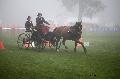 Photo n 35442&#10;Compigne Finale J.C. 2015. Photo Chevalandrieu&#10;Pierre-Richard LEGROS avec Eolienne, Franche Montagne.&#10;Affiche 11 fois&#10;Ajoute le 13/10/2015 12:10:47 par Nadinetoudic&#10;&#10;--> Cliquer pour agrandir <--