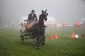 Photo n 35444&#10;Compigne Finale J.C. 2015. Photo Chevalandrieu&#10;Sbastien VINCENT avec Cardonnay du Hans, Hannoveraner.&#10;Affiche 9 fois&#10;Ajoute le 13/10/2015 12:10:47 par Nadinetoudic&#10;&#10;--> Cliquer pour agrandir <--