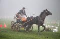 Photo n 35445&#10;Compigne Finale J.C. 2015. Photo Chevalandrieu&#10;Sbastien VINCENT avec Cardonnay du Hans, Hannoveraner.&#10;Affiche 14 fois&#10;Ajoute le 13/10/2015 12:10:47 par Nadinetoudic&#10;&#10;--> Cliquer pour agrandir <--
