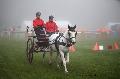 Photo n 35446&#10;Compigne Finale J.C. 2015. Photo Chevalandrieu&#10;Laetitia BARON avec Beleu de Gageron, Camargue.&#10;Affiche 20 fois&#10;Ajoute le 13/10/2015 12:10:47 par Nadinetoudic&#10;&#10;--> Cliquer pour agrandir <--