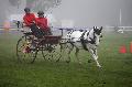 Photo n 35447&#10;Compigne Finale J.C. 2015. Photo Chevalandrieu&#10;Laetitia BARON avec Beleu de Gageron, Camargue.&#10;Affiche 20 fois&#10;Ajoute le 13/10/2015 12:10:47 par Nadinetoudic&#10;&#10;--> Cliquer pour agrandir <--