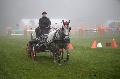 Photo n 35448&#10;Compigne Finale J.C. 2015. Photo Chevalandrieu&#10;Sarah PELLETIER avec Pluto Betalka, Lipizzan.&#10;Affiche 13 fois&#10;Ajoute le 13/10/2015 12:10:47 par Nadinetoudic&#10;&#10;--> Cliquer pour agrandir <--
