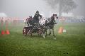 Photo n 35449&#10;Compigne Finale J.C. 2015. Photo Chevalandrieu&#10;Sarah PELLETIER avec Pluto Betalka, Lipizzan.&#10;Affiche 16 fois&#10;Ajoute le 13/10/2015 12:10:48 par Nadinetoudic&#10;&#10;--> Cliquer pour agrandir <--