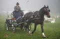 Photo n 35450&#10;Compigne Finale J.C. 2015. Photo Chevalandrieu&#10;Guillaume GARREAU avec Same, Franche Montagne.&#10;Affiche 13 fois&#10;Ajoute le 13/10/2015 12:10:48 par Nadinetoudic&#10;&#10;--> Cliquer pour agrandir <--