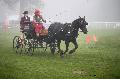 Photo n 35455&#10;Compigne Finale J.C. 2015. Photo Chevalandrieu&#10;Claire BLANQUART avec Viki de Nelome.&#10;Affiche 13 fois&#10;Ajoute le 13/10/2015 12:10:48 par Nadinetoudic&#10;&#10;--> Cliquer pour agrandir <--