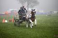 Photo n 35457&#10;Compigne Finale J.C. 2015. Photo Chevalandrieu&#10;Laetitia MARICOURT LE BOUCHER avec Vigot d'Ihia, Pottok.&#10;Affiche 34 fois&#10;Ajoute le 14/10/2015 18:00:06 par Nadinetoudic&#10;&#10;--> Cliquer pour agrandir <--