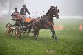 Photo n 35458&#10;Compigne Finale J.C. 2015. Photo Chevalandrieu&#10;Sbastien VINCENT avec Faberg du Hans, Hannoveraner.&#10;Affiche 18 fois&#10;Ajoute le 14/10/2015 18:00:06 par Nadinetoudic&#10;&#10;--> Cliquer pour agrandir <--