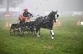 Photo n 35459&#10;Compigne Finale J.C. 2015. Photo Chevalandrieu&#10;Marjorie GACHE avec Alf Mavrik, Poney Franais de Selle.&#10;Affiche 31 fois&#10;Ajoute le 14/10/2015 18:00:06 par Nadinetoudic&#10;&#10;--> Cliquer pour agrandir <--