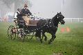 Photo n 35460&#10;Compigne Finale J.C. 2015. Photo Chevalandrieu&#10;Mathieu CARRIERE avec Arige de Cassagbac, Merens.&#10;Affiche 19 fois&#10;Ajoute le 14/10/2015 18:00:06 par Nadinetoudic&#10;&#10;--> Cliquer pour agrandir <--