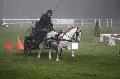 Photo n 35461&#10;Compigne Finale J.C. 2015. Photo Chevalandrieu&#10;Emmanuelle ESNAULT avec Virgin Island Square, Origine Constate.&#10;Affiche 93 fois&#10;Ajoute le 14/10/2015 18:00:06 par Nadinetoudic&#10;&#10;--> Cliquer pour agrandir <--