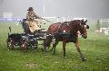 Photo n 35463&#10;Compigne Finale J.C. 2015. Photo Chevalandrieu&#10;Sabine GUERIN avec Aquarelle de Bechevel, Poney Franais de Selle.&#10;Affiche 32 fois&#10;Ajoute le 14/10/2015 18:00:06 par Nadinetoudic&#10;&#10;--> Cliquer pour agrandir <--
