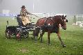 Photo n° 35463
Compiègne Finale J.C. 2015. Photo Chevalandrieu
Sabine GUERIN avec Aquarelle de Bechevel, Poney Français de Selle.
Affichée 28 fois
Ajoutée le 14/10/2015 18:00:06 par Nadinetoudic

--> Cliquer pour agrandir <--