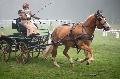 Photo n 35464&#10;Compigne Finale J.C. 2015. Photo Chevalandrieu&#10;Caroline PARIAT avec Boreale de Mariandl, Haflinger.&#10;Affiche 48 fois&#10;Ajoute le 14/10/2015 18:00:06 par Nadinetoudic&#10;&#10;--> Cliquer pour agrandir <--
