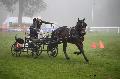 Photo n 35465&#10;Compigne Finale J.C. 2015. Photo Chevalandrieu&#10;Fanny BELLARD avec Rhanwid Lancelot, Welsh Cob.&#10;Affiche 32 fois&#10;Ajoute le 14/10/2015 18:00:06 par Nadinetoudic&#10;&#10;--> Cliquer pour agrandir <--
