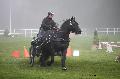 Photo n 35466&#10;Compigne Finale J.C. 2015. Photo Chevalandrieu&#10;Eric ABRASSART avec Ardu d'Alzen, Merens.&#10;Affiche 35 fois&#10;Ajoute le 14/10/2015 18:00:06 par Nadinetoudic&#10;&#10;--> Cliquer pour agrandir <--