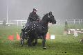 Photo n° 35466
Compiègne Finale J.C. 2015. Photo Chevalandrieu
Eric ABRASSART avec Ardu d'Alzen, Merens.
Affichée 31 fois
Ajoutée le 14/10/2015 18:00:06 par Nadinetoudic

--> Cliquer pour agrandir <--